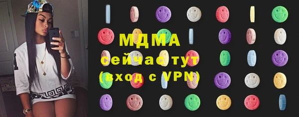 мдпв Богородск