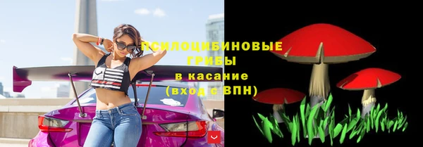 дживик Беломорск