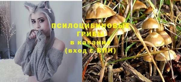 а пвп мука Белокуриха