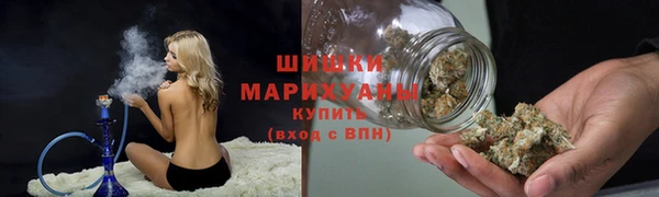 мдпв Богородск