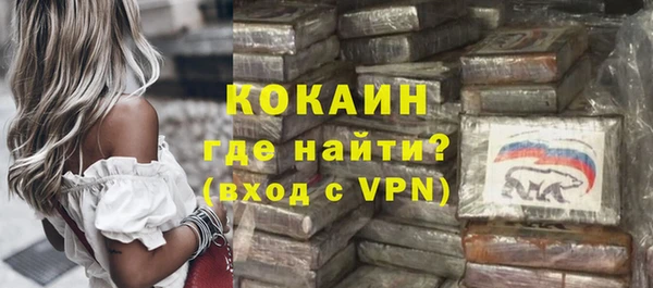 ECSTASY Богданович